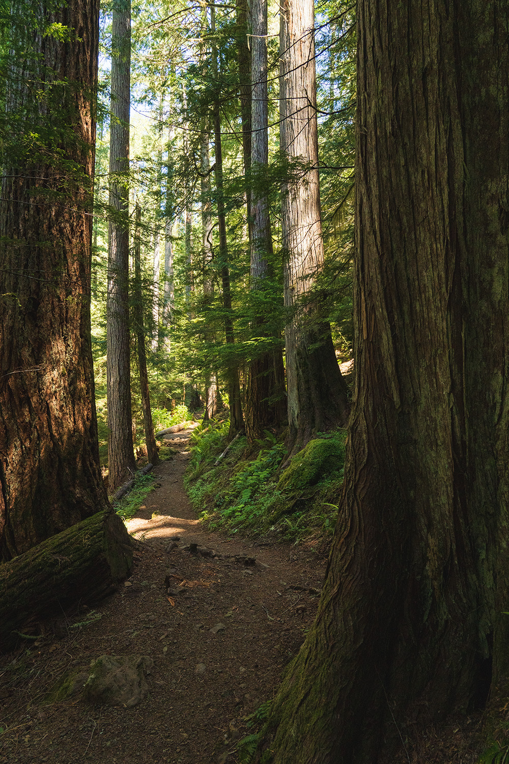 Upper Lena Lake
