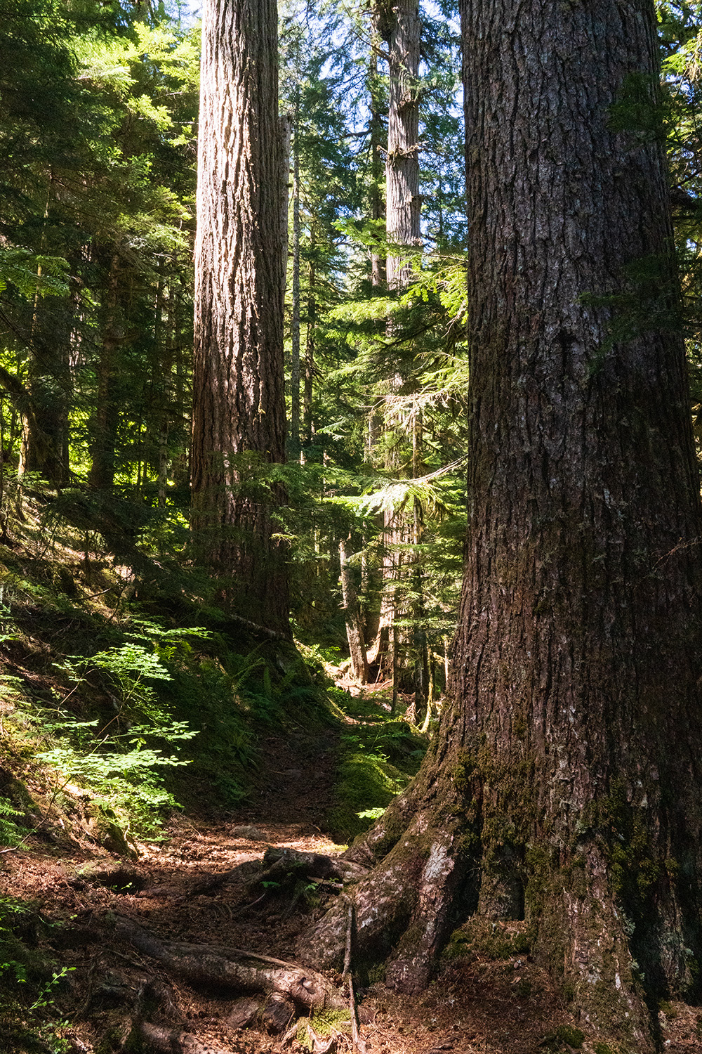 Upper Lena Lake