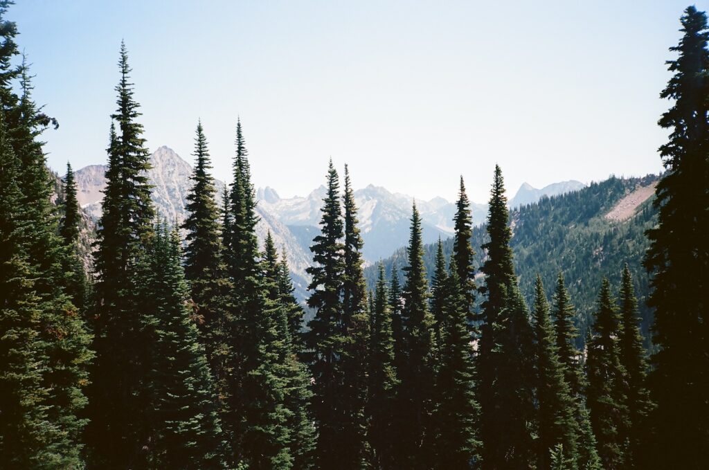 Maple Pass Loop
