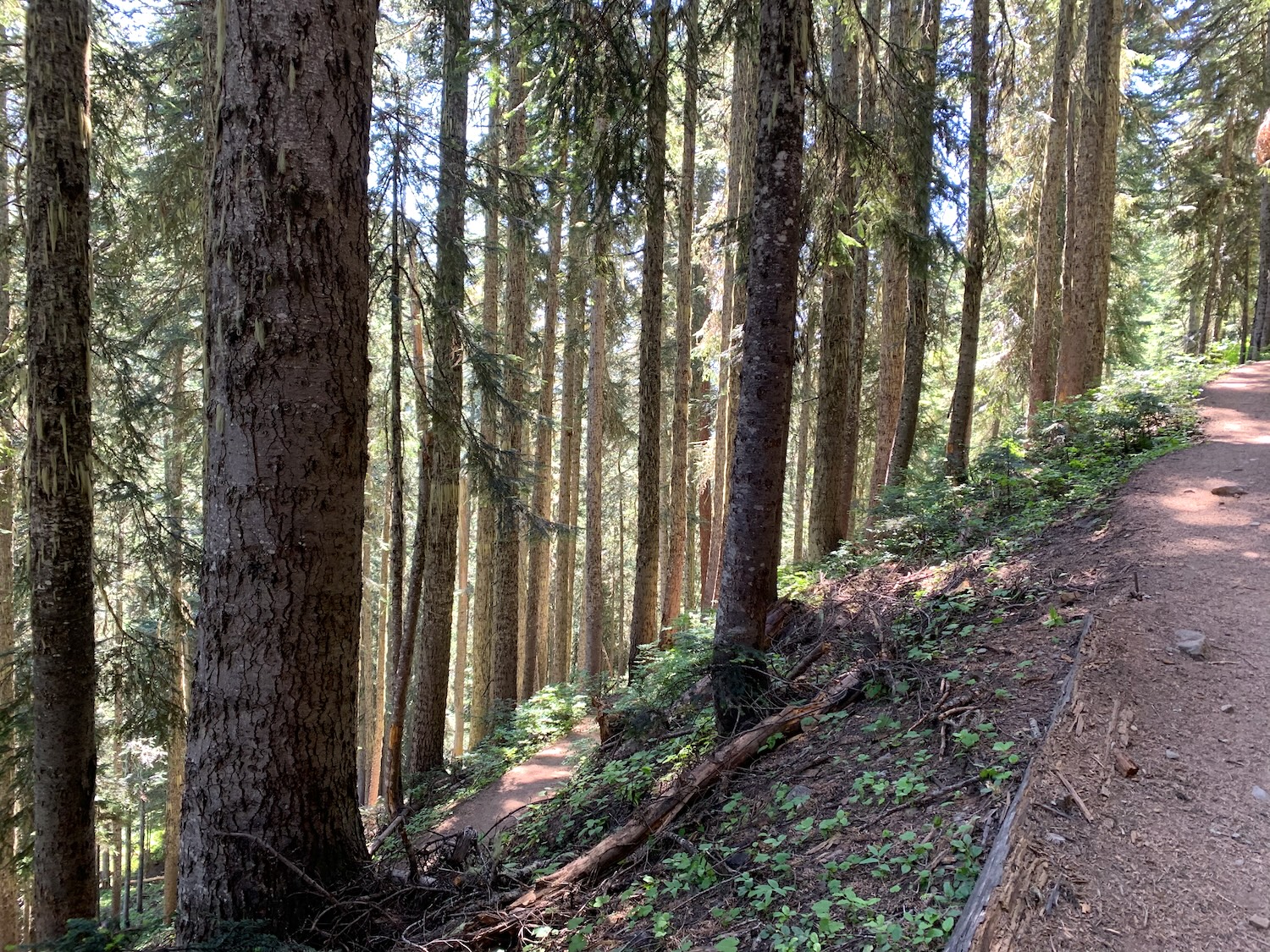 Maple Pass Loop