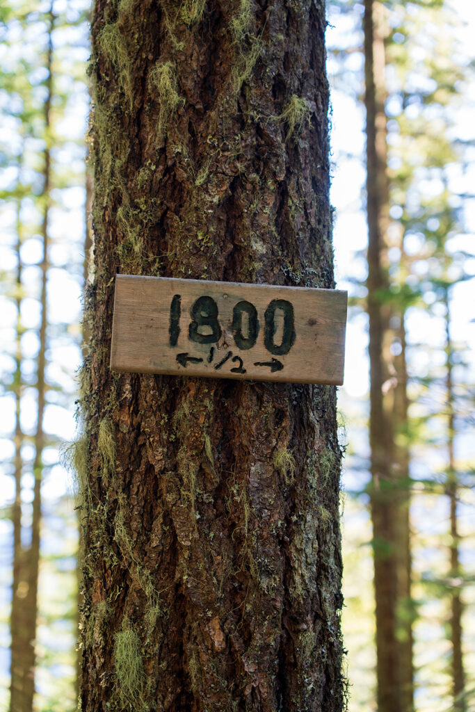 half way point marker