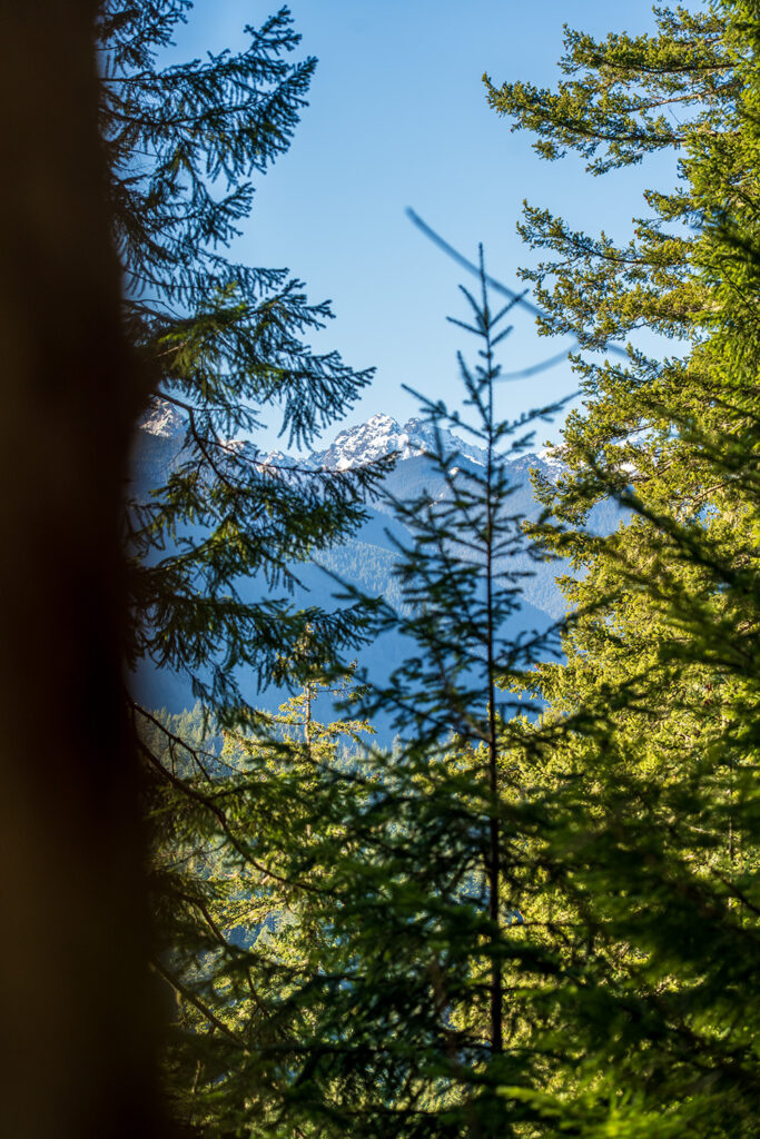 mount walker trail olympic views