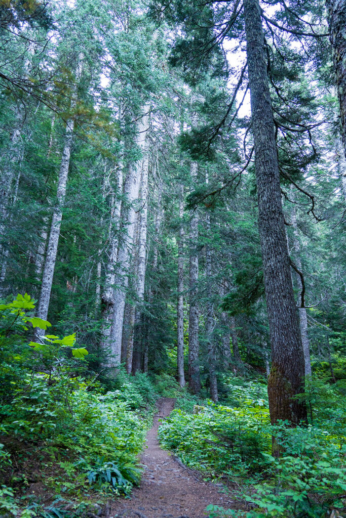 the trail along thunder mountain lakes