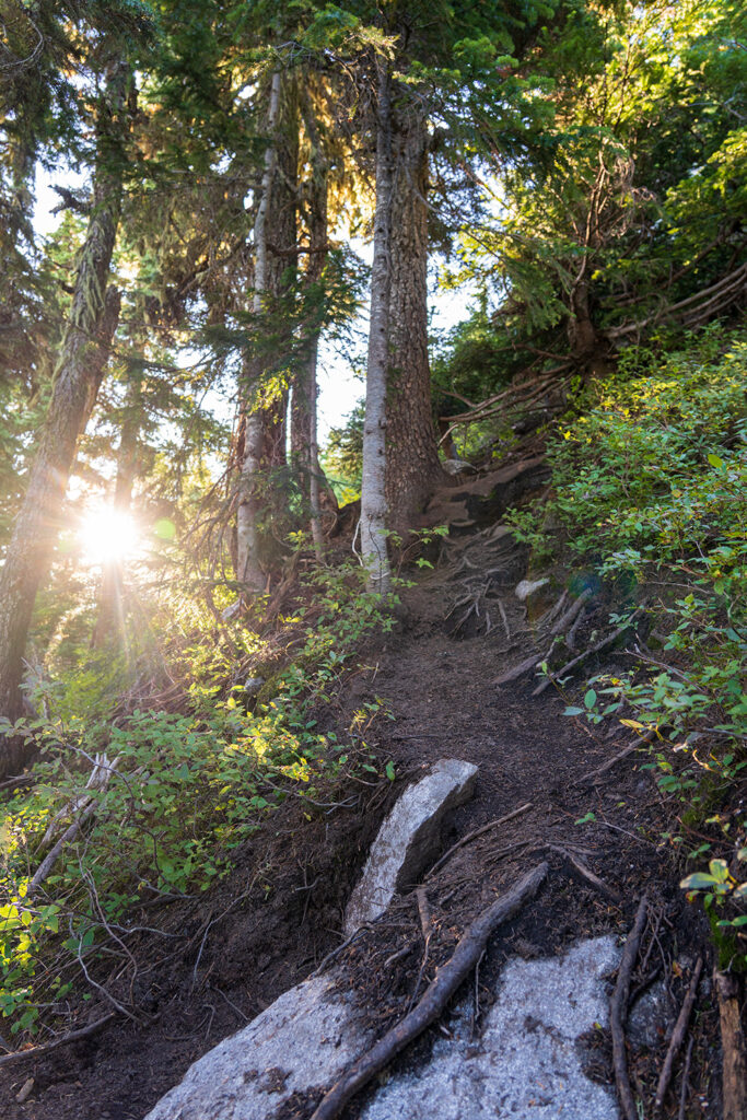 heard path to thunder mountain lakes, not a well maintained trail