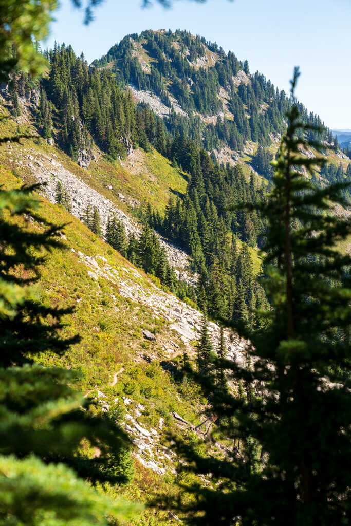 approaching trap pass