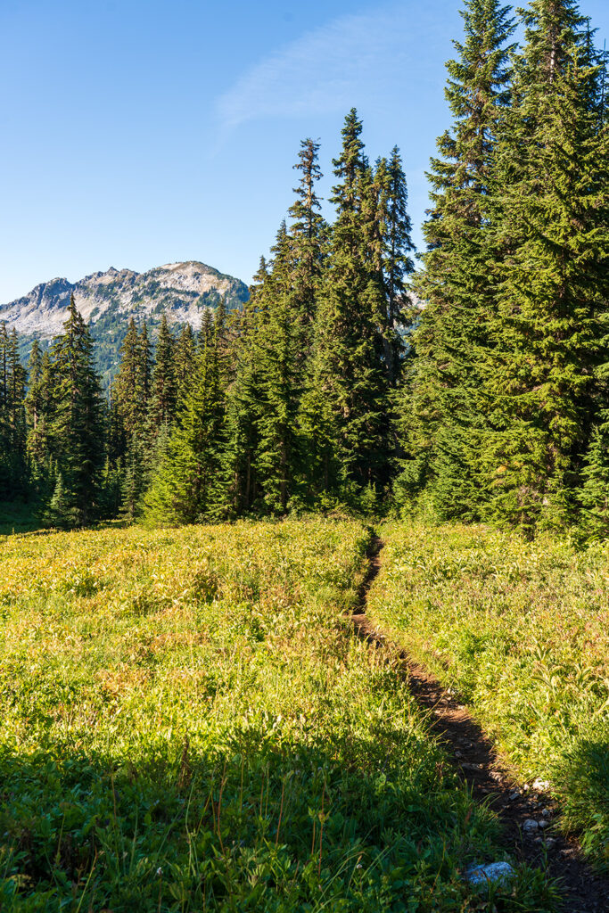 meadows thunder mountain lakes trail.