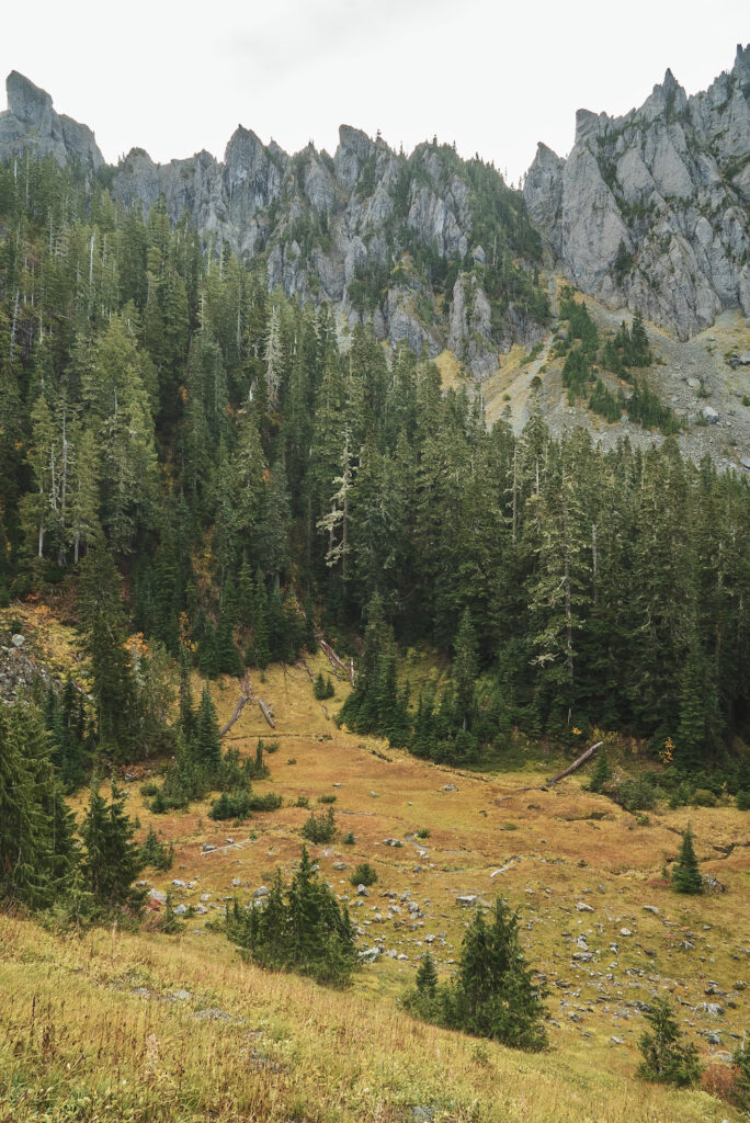 flapjack image