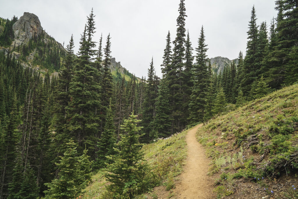 Silver Lakes