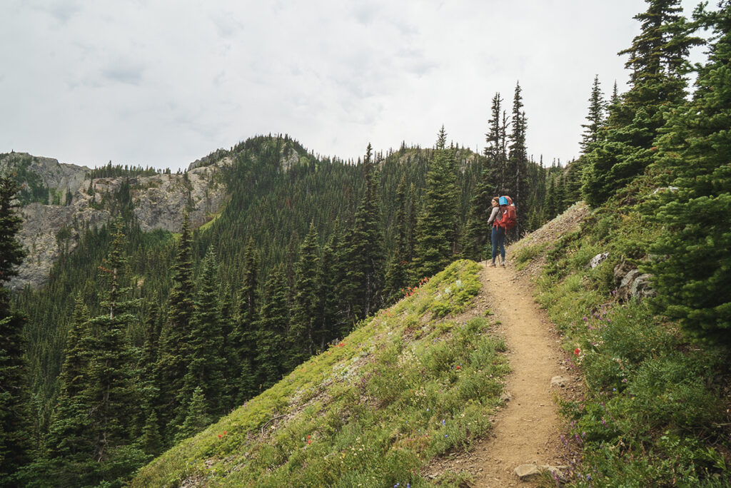 Silver Lakes