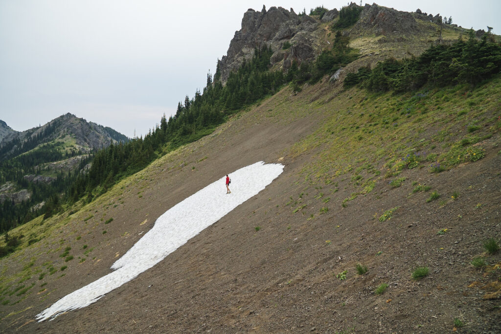 Silver Lakes