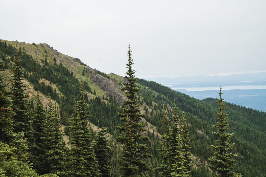 Silver Lakes