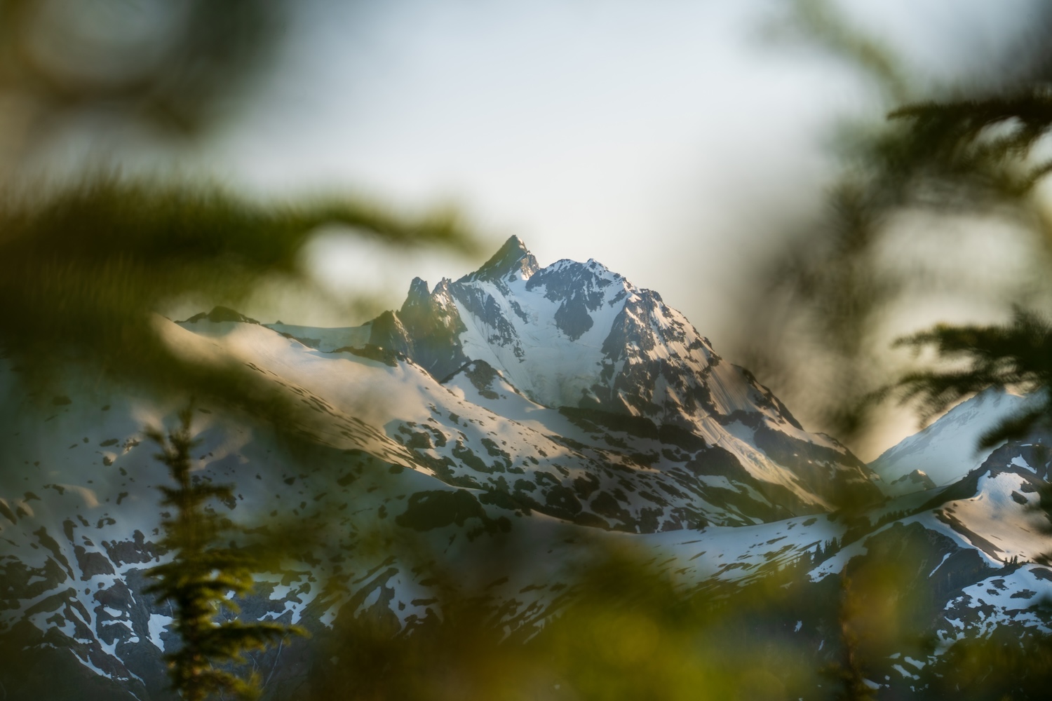 Backpacking the Copper Ridge Trail: Ultimate Guide to North Cascades' Best Views and Campsites