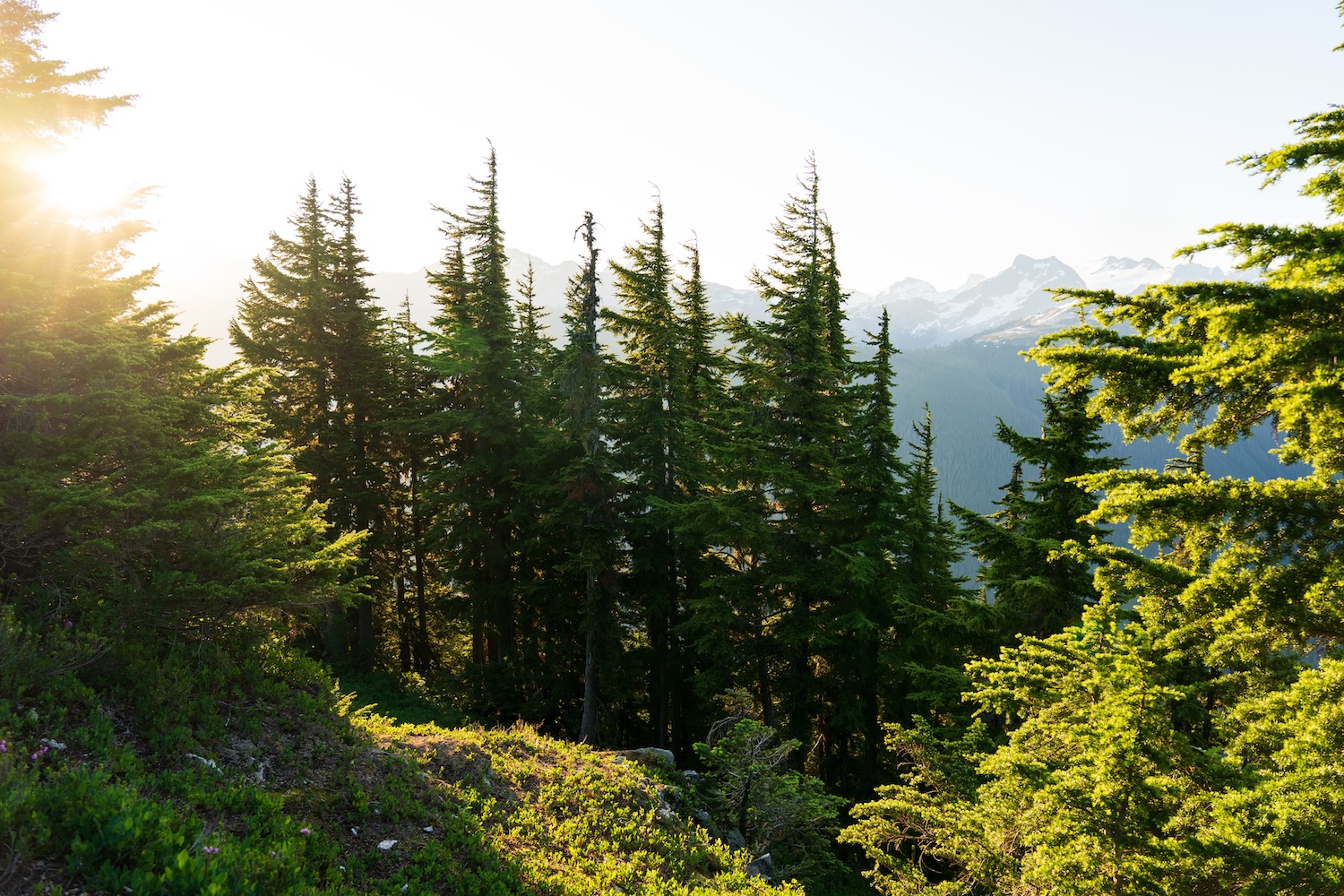 Copper Ridge to Copper Lake