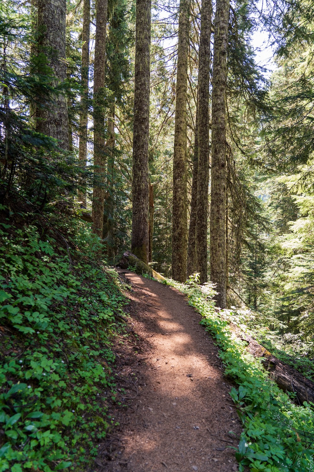 Copper Ridge to Copper Lake