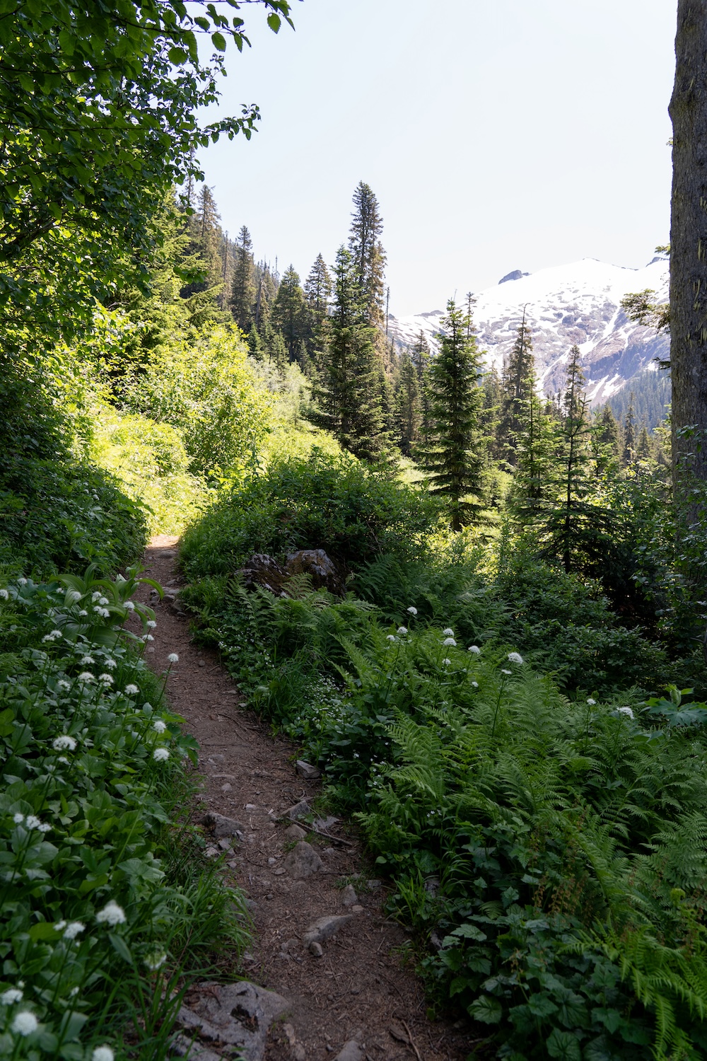 Copper Ridge to Copper Lake