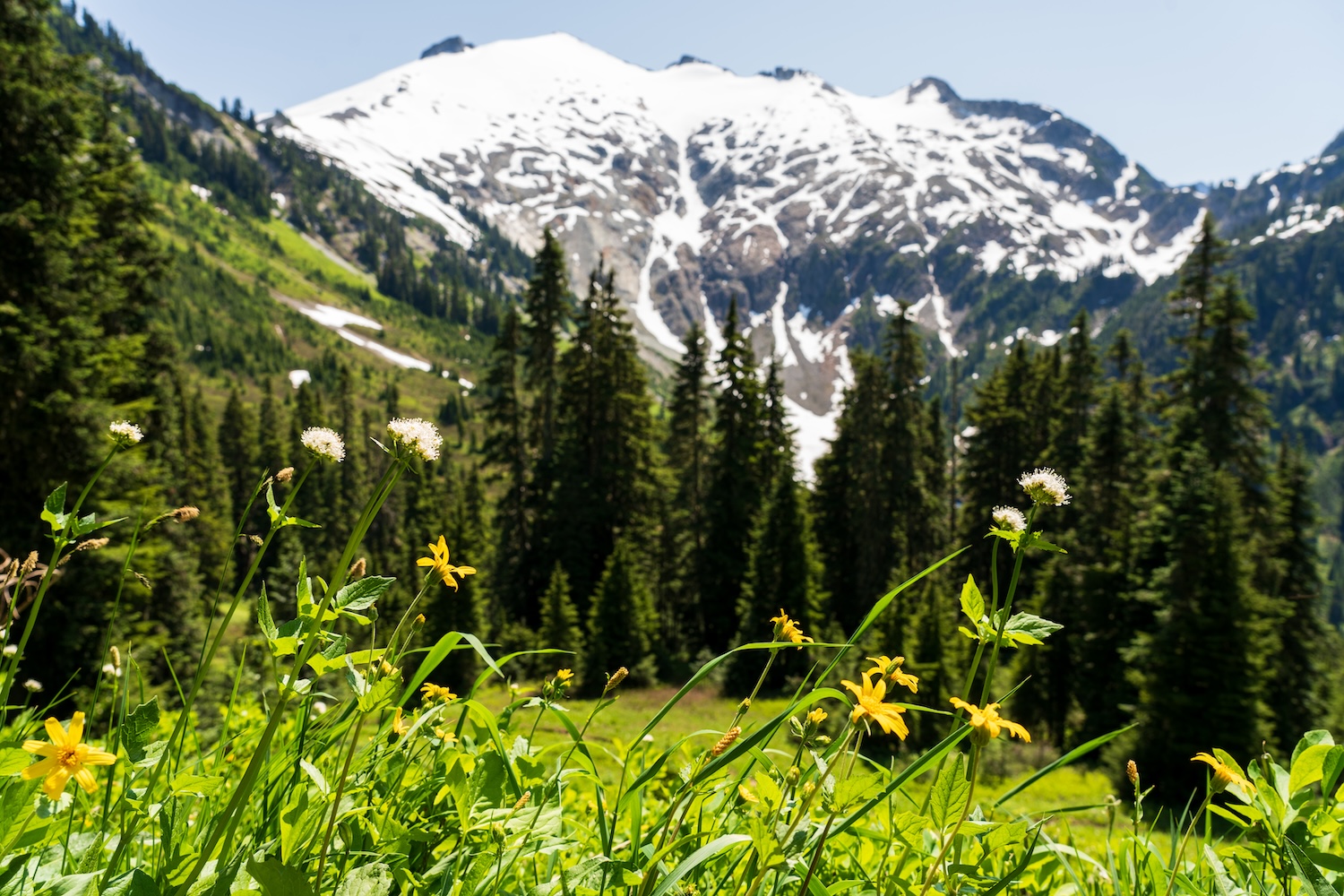 Copper Ridge to Copper Lake