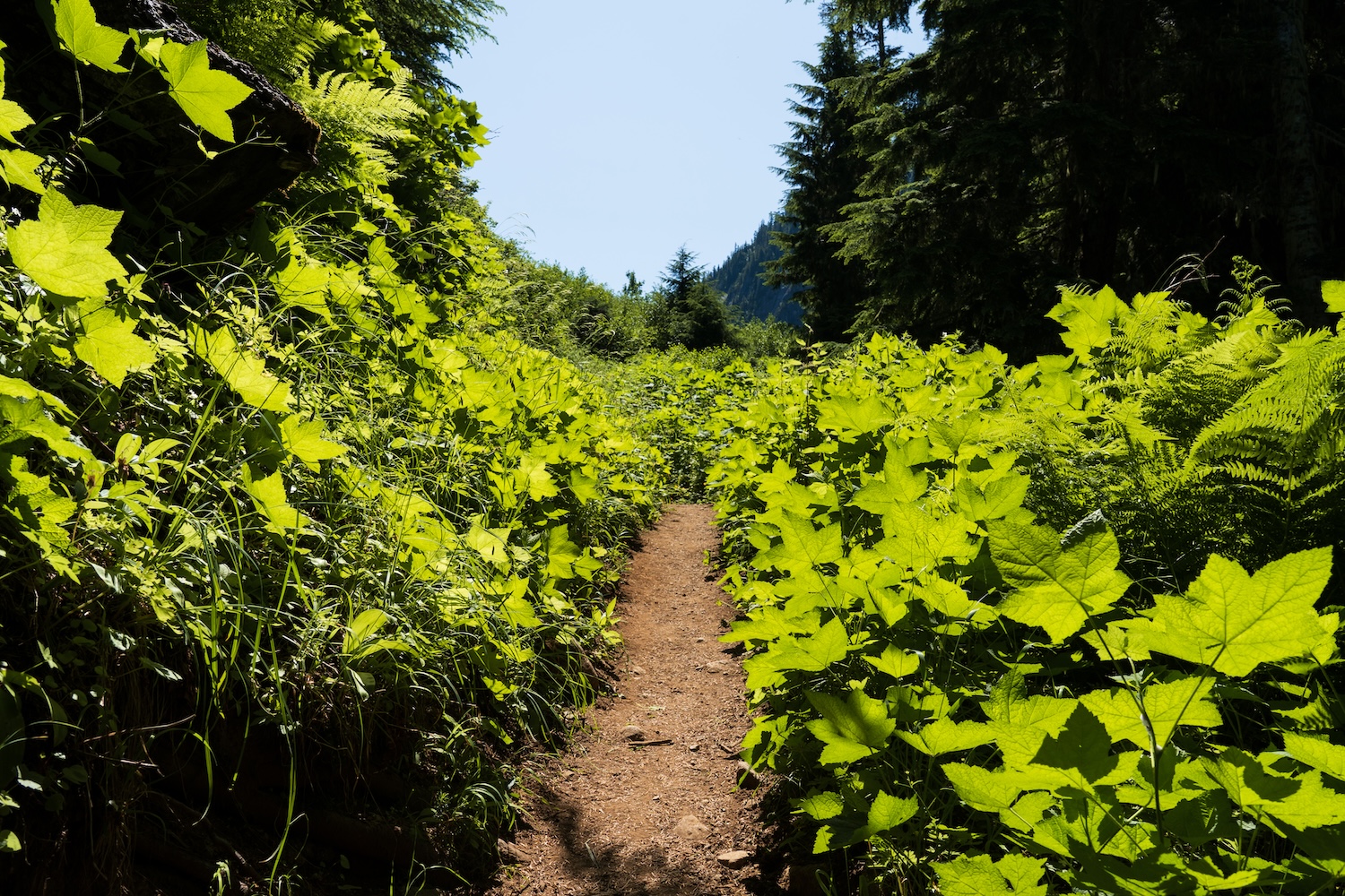 Copper Ridge to Copper Lake