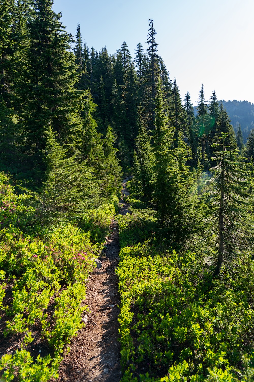 Copper Ridge to Copper Lake