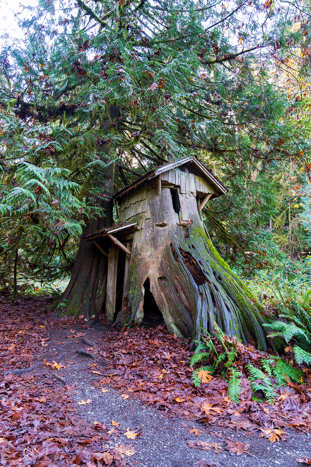 Stump House at Guillemot Cove