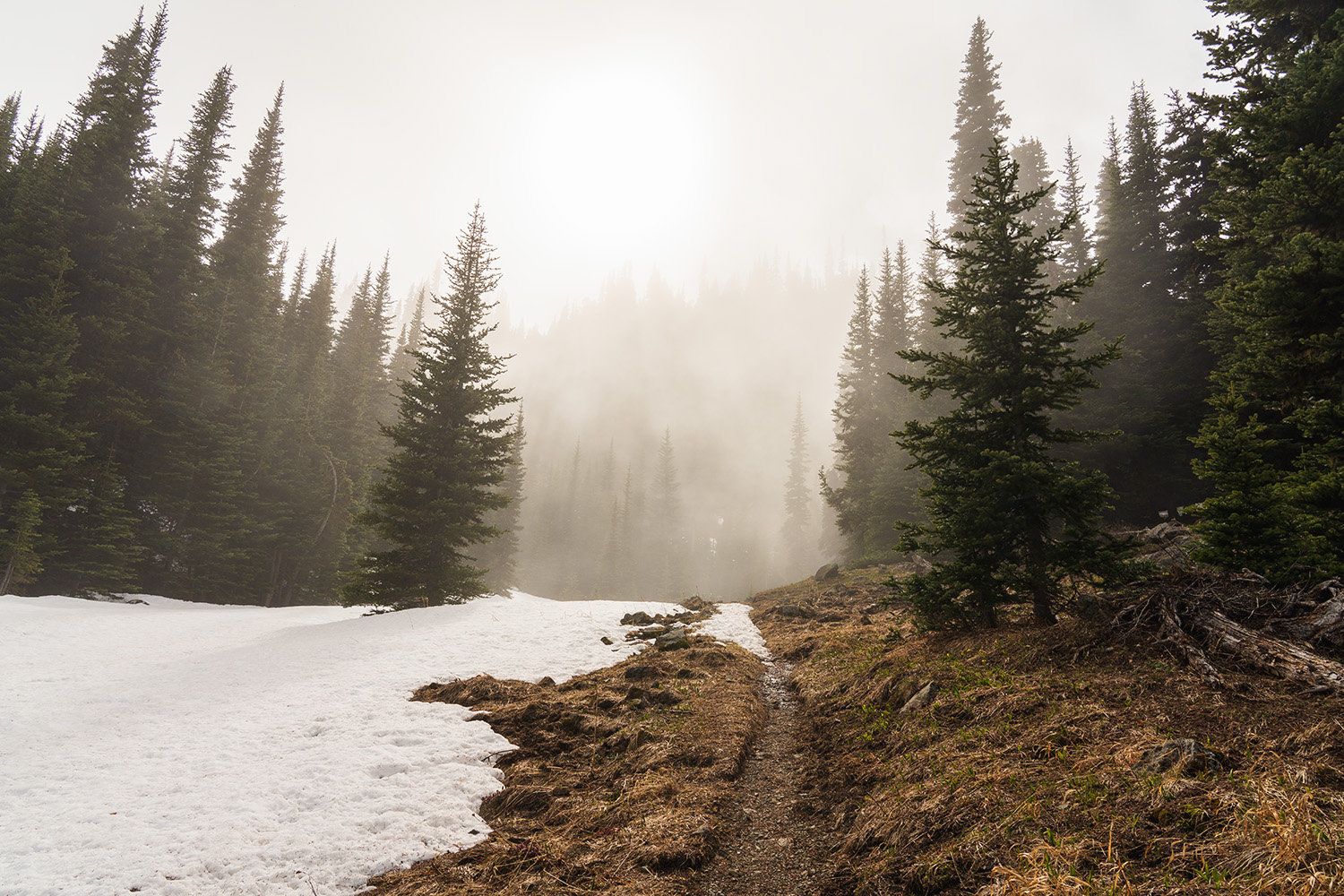 Marmot Pass