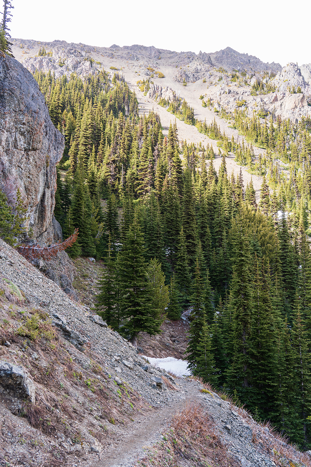 Marmot Pass