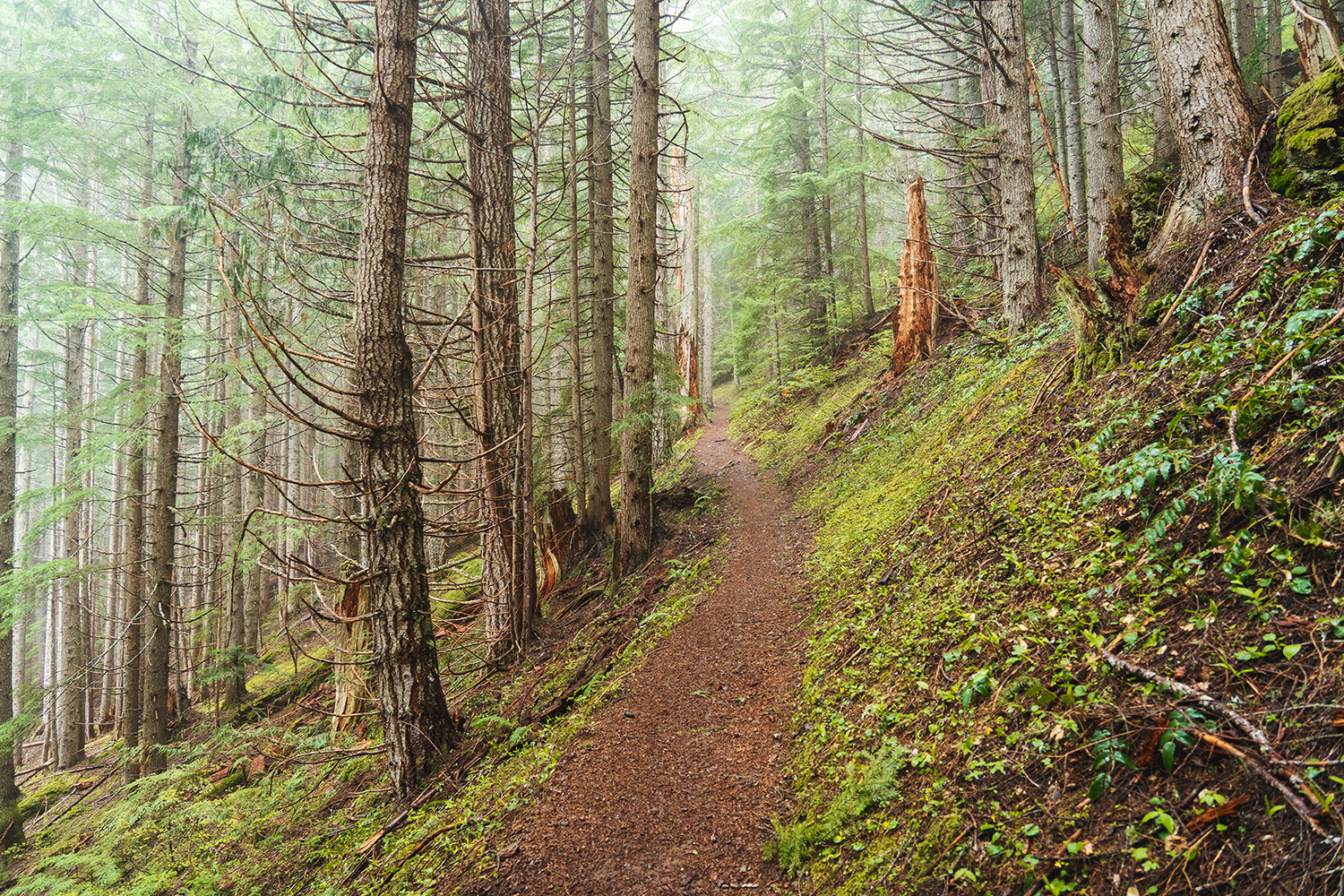 Marmot Pass