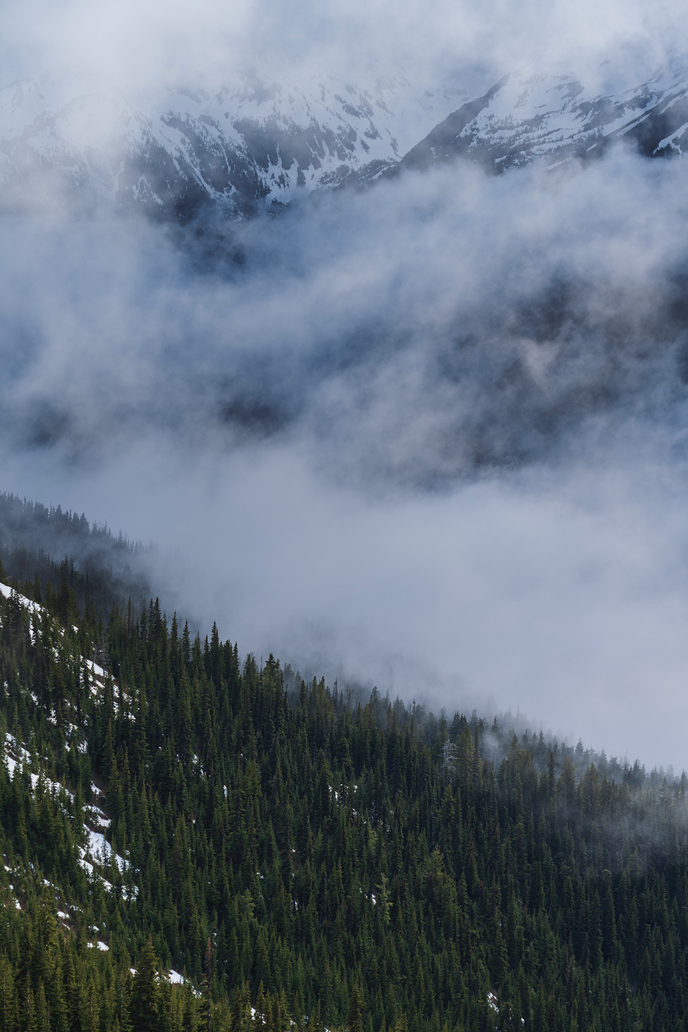 Marmot Pass