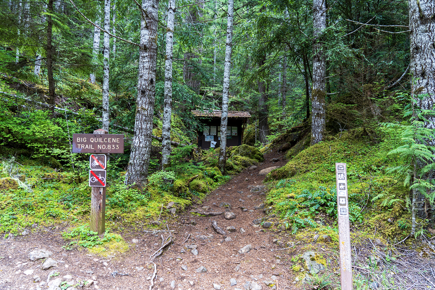 Marmot Pass