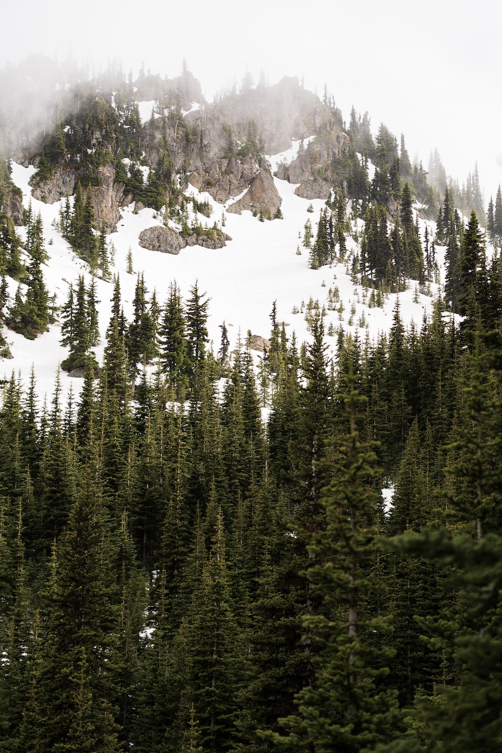 Marmot Pass