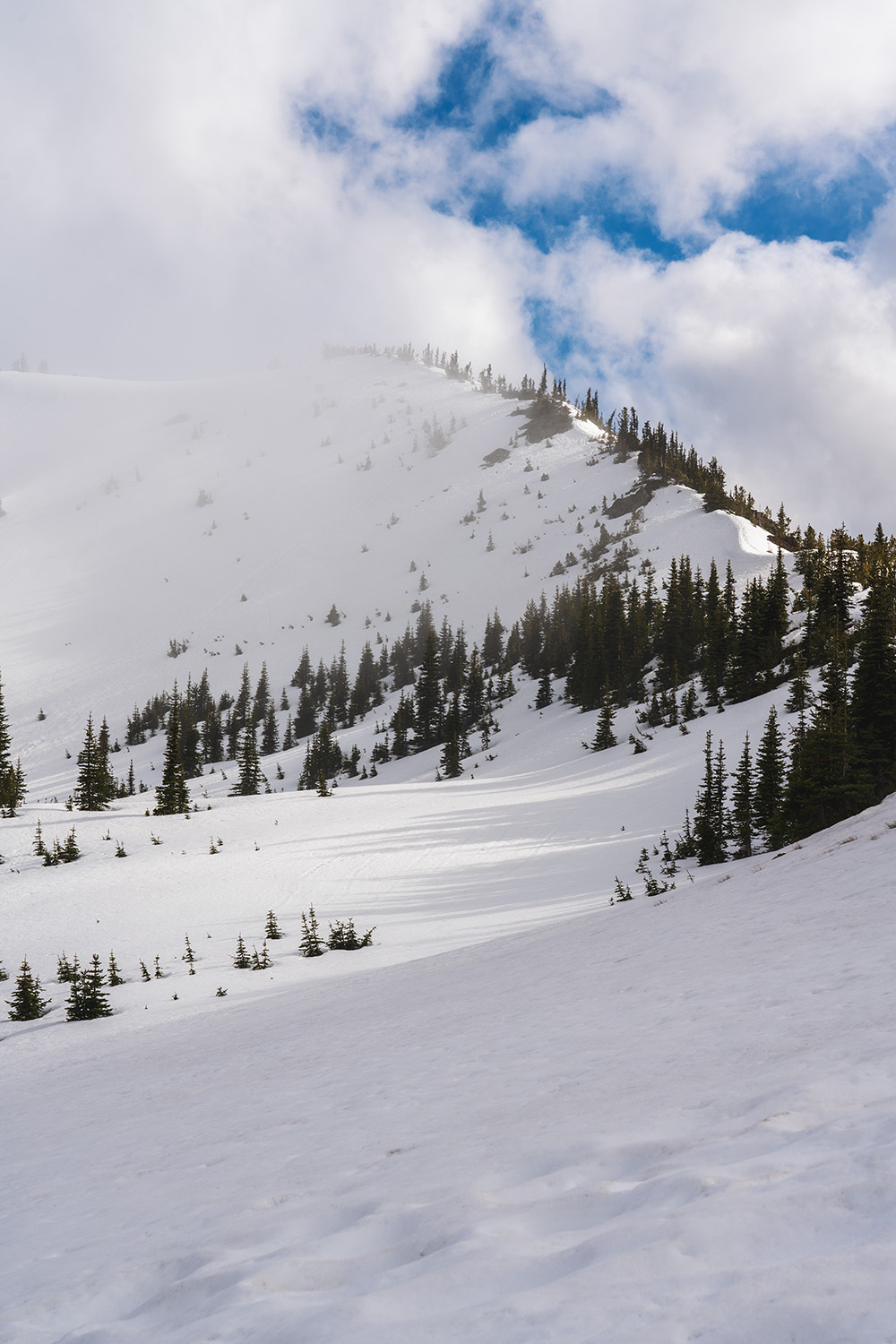 Marmot Pass