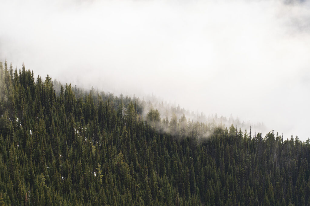 Marmot Pass